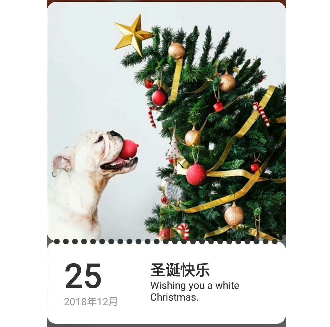 圣誕節(jié)來到，地多寶祝：圣誕快樂！